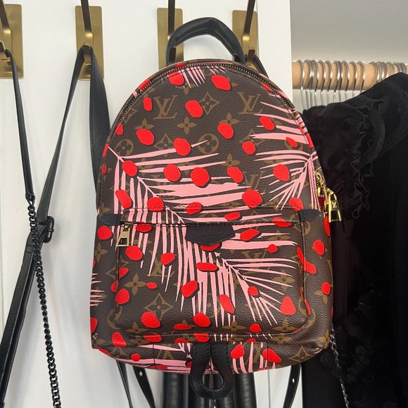 Louis Vuitton Backpack - Picture 1 of 4